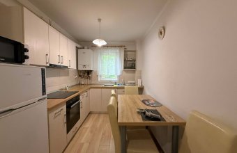 Apartament 2 camere,Victor Babes zona Iuliu Maniu , parter înalt