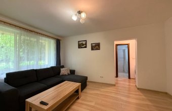 Apartament 2 camere,Victor Babes zona Iuliu Maniu , parter înalt