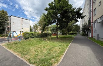 Apartament 2 camere , ultracentral , zona Bizo