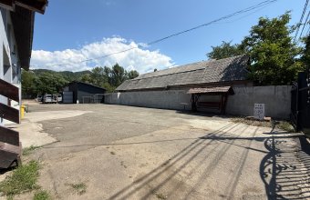 Hala 214 mp +teren 1186 mp Tăuții de Sus vânzare/închiriere