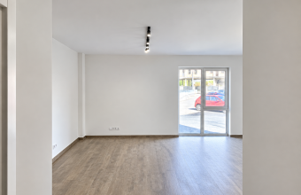 Apartament 1 camera ,Victoriei zona Parc